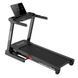 Беговая дорожка Generation Fitness Caravel iConsole Caravel фото 1