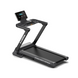 Беговая дорожка Generation Fitness Griffin Griffin фото 1
