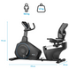 Горизонтальный велотренажер Gymtek XBR6000 Blue 5905884424568 фото 3